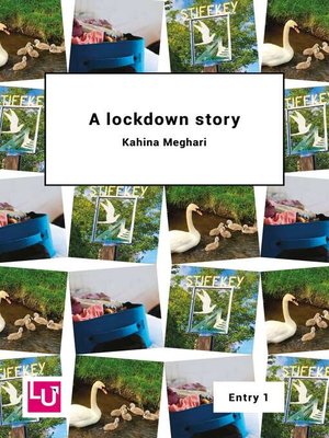 cover image of Lockdown Story